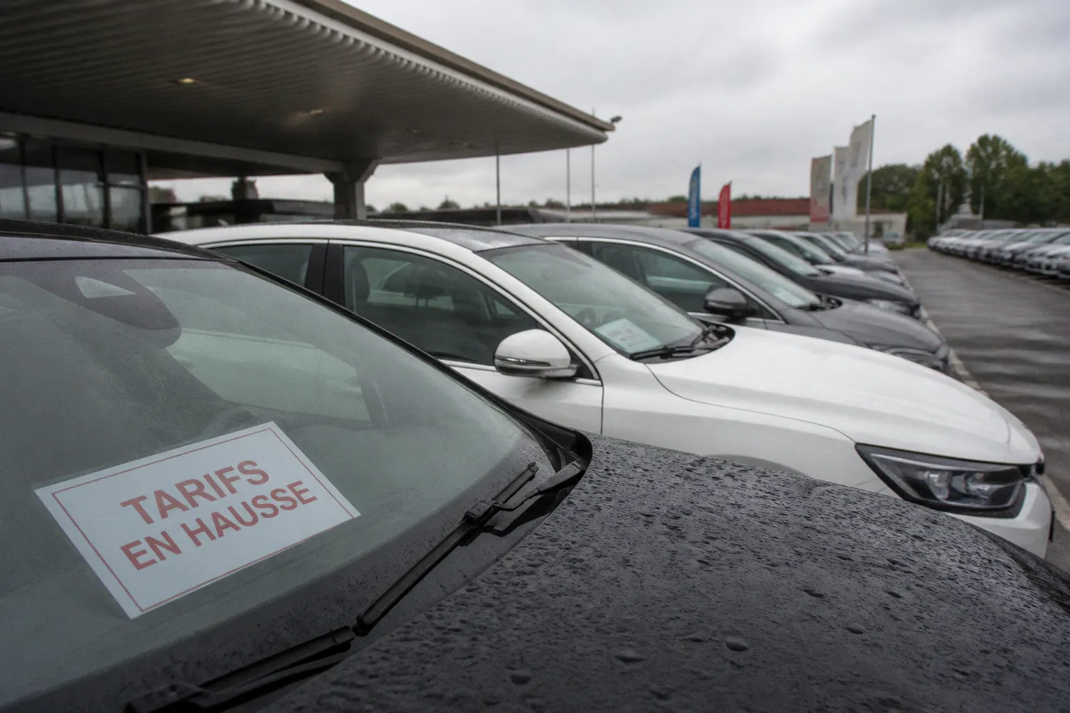 Location de véhicules : anticiper la stabilisation des tarifs pour mieux maîtriser vos coûts